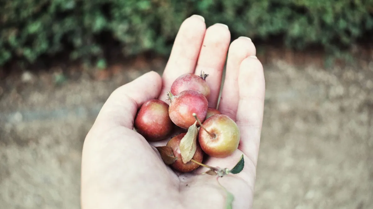 A person holding a plain red apple as a simple test of real hunger